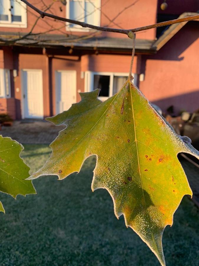 Sua Casa Em Canela Luaran gambar